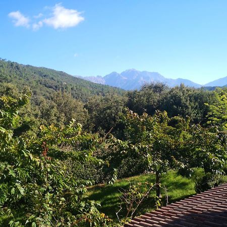 Bed and Breakfast L'Ogliastru Ucciani Exterior foto